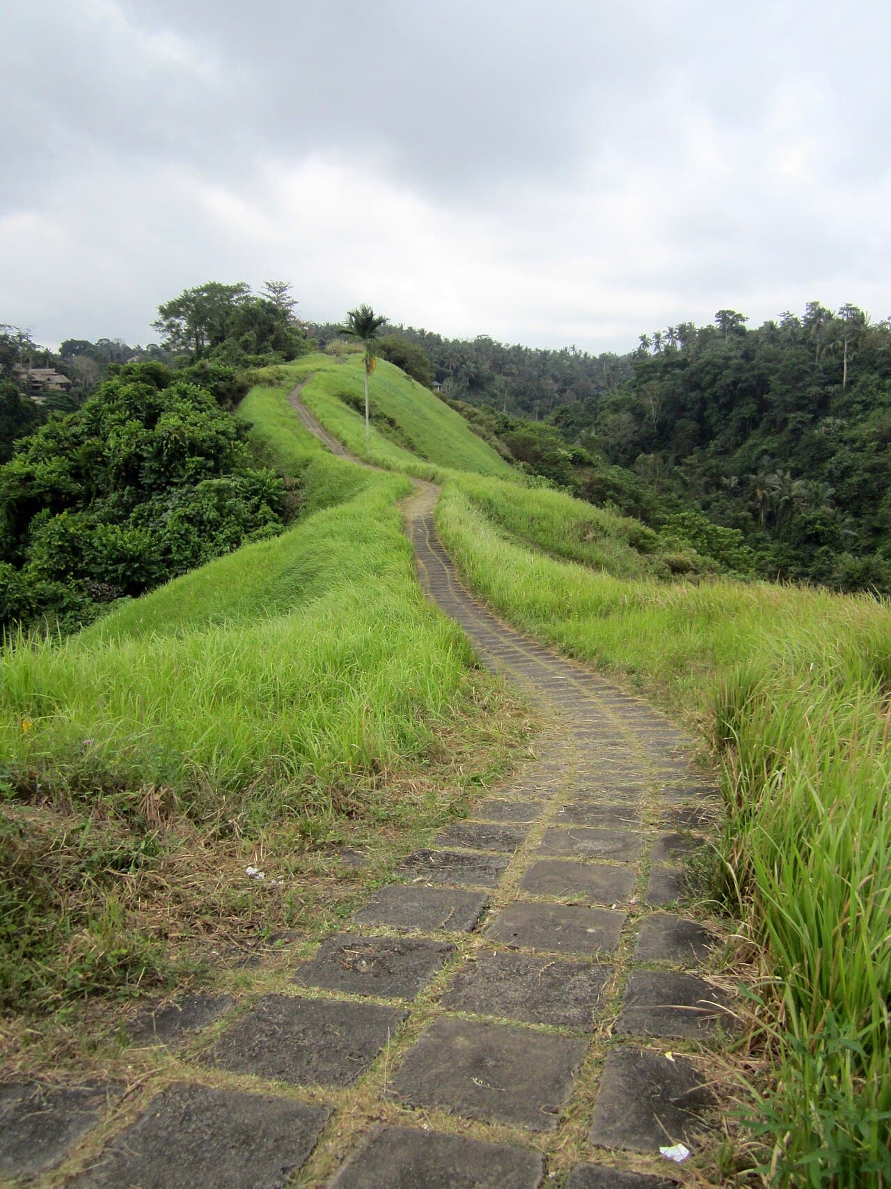 Bali Solo Travel — Everything You Need to Know Before Going Alone